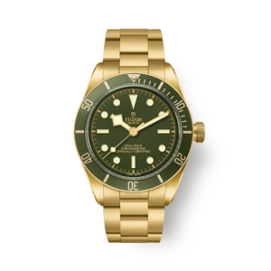 TUDOR BLACK BAY 58 18K M79018V-0006