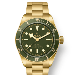 TUDOR BLACK BAY 58 18K M79018V-0006