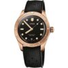 ORIS DIVERS SIXTY-FIVE BRONZE 01 733 7771 3154-07 4 19 18BR